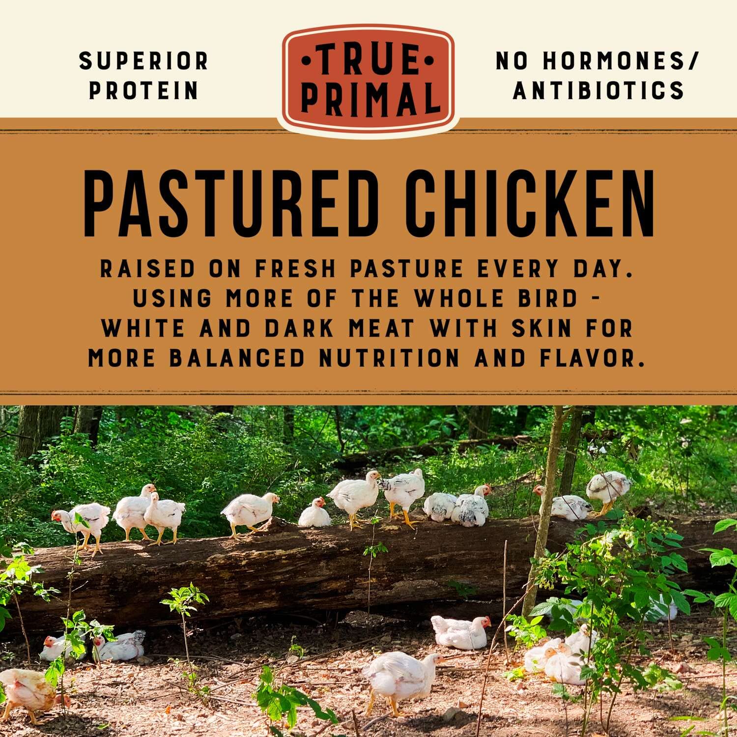 True Primal Chicken & Vegetable Soup 8-pack, Ready to eat, Gluten free, Paleo, Pastured chicken, Whole30, Bone broth - Image 4